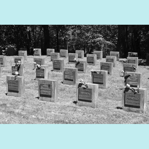 Auf dem Hauptfriedhof befinden sich mehrere Gräber der Opfer des Nationalsozialismus. Darunter auch 24 der 82 bestätigten Todesopfer des Gestapo-Lagers Neue Bremm Foto: Manfred Weiss